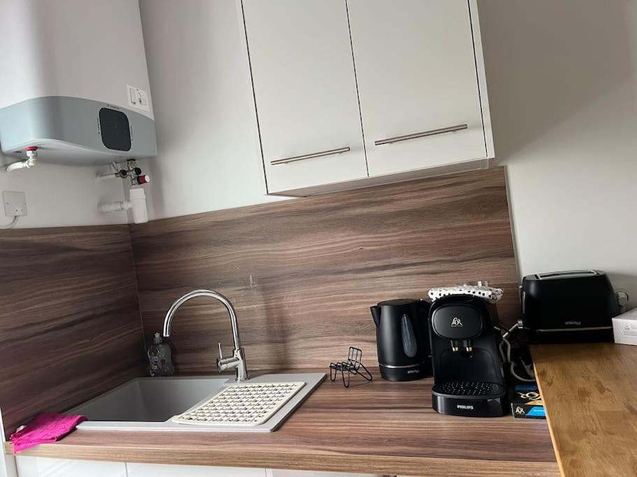 Loiret Luxe T2 Lägenhet Olivet  Exteriör bild