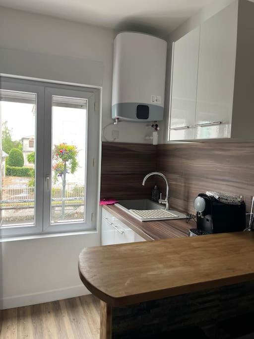 Loiret Luxe T2 Lägenhet Olivet  Exteriör bild